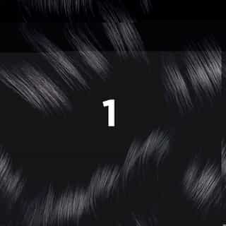 PHYTO HAIR COLOR 1 Black