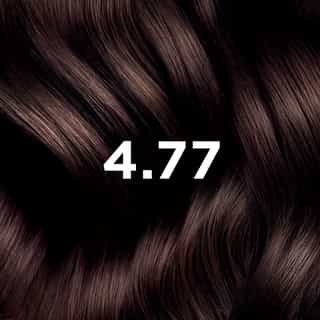 PHYTO HAIR COLOR 4.77 Intense Chestnut Brown
