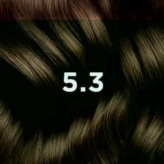 PHYTO HAIR COLOR 5.3 Light Golden Brown