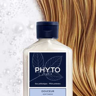 SOFTNESS SOFTNESS SHAMPOO