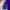 PURPLE NO YELLOW SHAMPOO