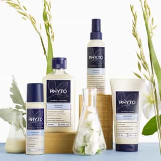 SOFTNESS SOFTNESS SHAMPOO