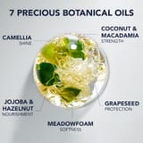PHYTO 7 ELIXIR Universal Enhancing Oil