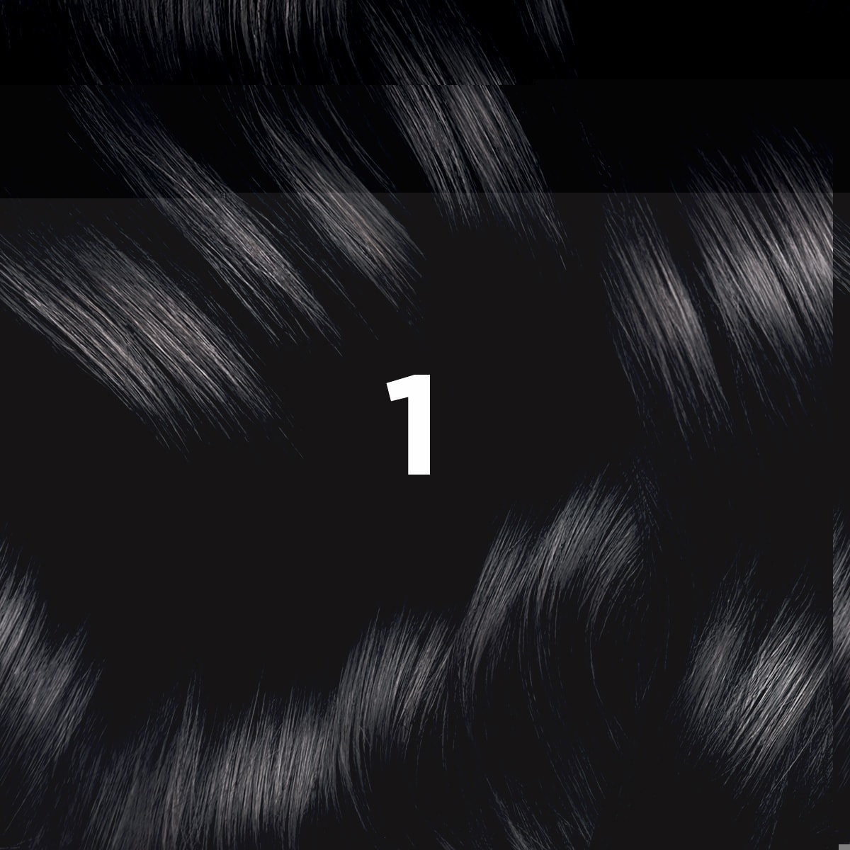 PHYTO HAIR COLOR 1 Black