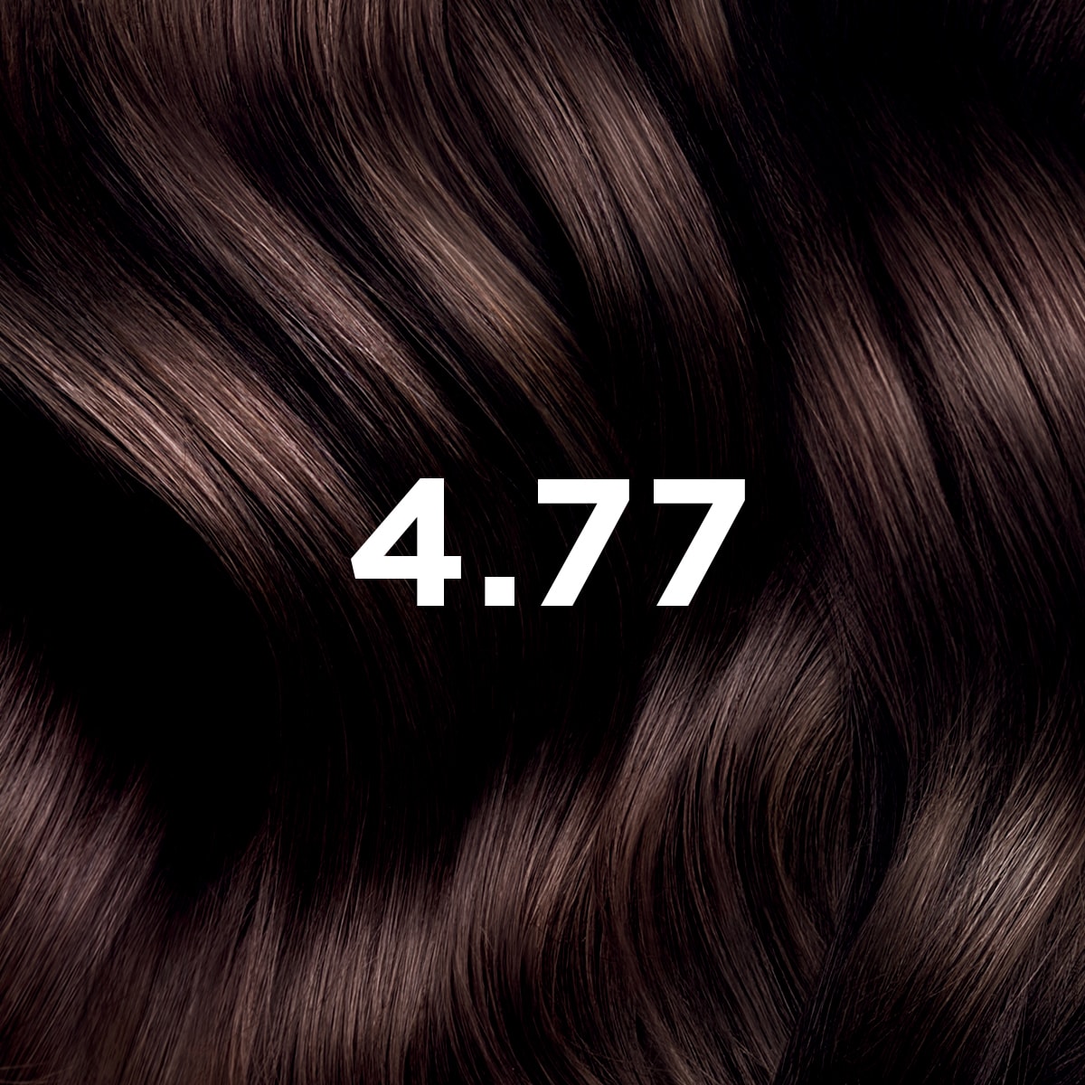 PHYTO HAIR COLOR 4.77 Intense Chestnut Brown