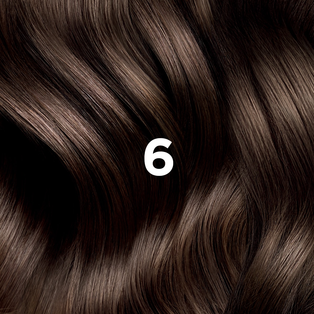 PHYTO HAIR COLOR 6 Dark Blonde
